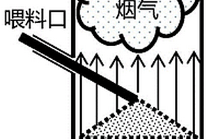 农业生物质源无土栽培富硒营养液及其制备方法
