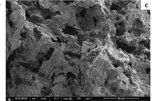 聚烯烃/嫩江蛋白石轻质页岩复合材料