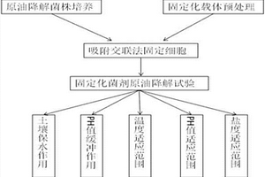 易降解的环保塑料及其制备方法