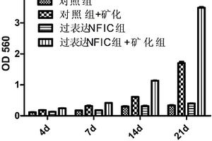 低容重、节能环保的新型建筑砌块