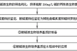 黑芝麻汤圆及其制备方法