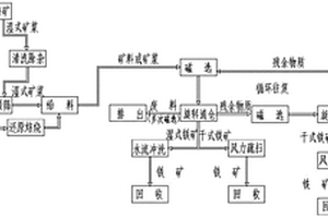 红背菜核桃仁营养液