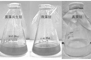 改性聚丙烯纤维增强的耐腐蚀型钢筋混凝土排水管及其制备方法