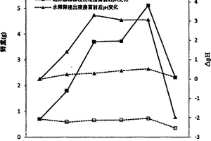 黑滑石吸附剂及其制备方法和应用