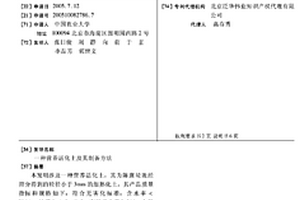 纳米TiO2/碳复合材料的制备与应用