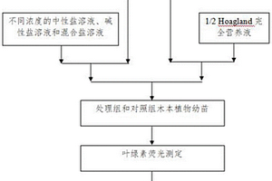 富硒营养活力素及其制备方法、应用