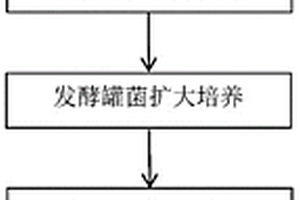 超耐候性建筑外墙漆膜壁布及其制作工艺