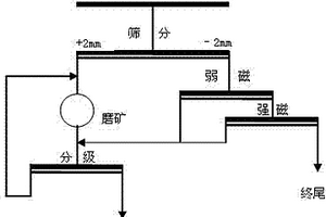 矿物分选装置