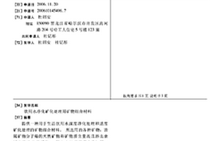 红土镍矿炉渣中金属的回收方法
