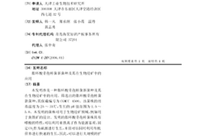 石煤提钒焙烧工艺