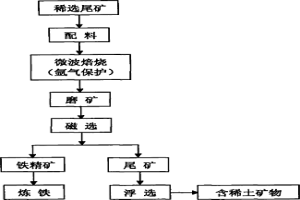 从稀选尾矿中提取稀土的方法