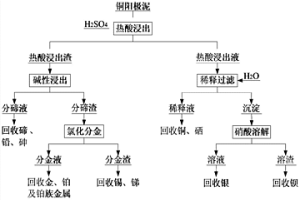 铜阳极泥的全湿法预处理方法