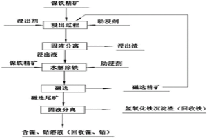 镍铁精矿的硫酸选择性浸出的方法