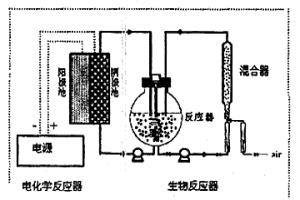硫化矿浸矿菌生长的高效电化学培养方法及装置