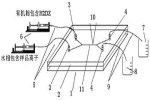 能直接显示结果的微流体快速萃取装置