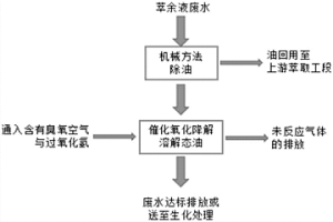 氧化催化剂及其用于处理湿法冶金萃余液废水的方法