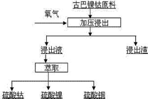 浸出古巴镍钴原料的方法