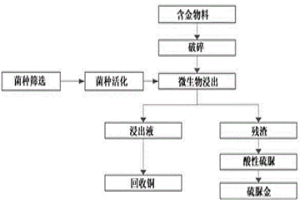 两步法从废弃电子物料中回收铜和金的方法