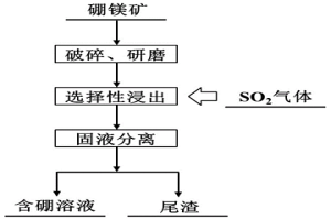 利用SO<Sub>2</Sub>气体选择性浸出硼镁矿的方法