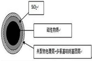 磁性固体多氨基吸附剂颗粒材料、制备方法及其应用