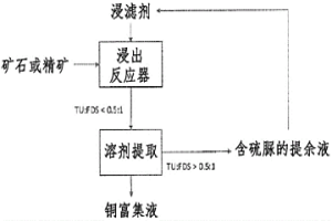 用具有硫代羰基官能团的试剂浸出金属硫化物的工艺