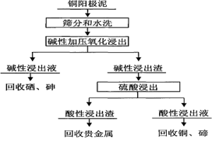 铜阳极泥的预处理方法