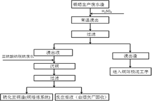 从生产银硒过程中的废水渣中回收稀贵金属的方法