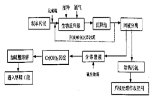 氧化硫硫杆菌及制革污泥中铬的生物脱除方法