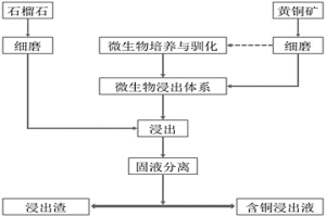 利用石榴石促进黄铜矿微生物浸出的方法