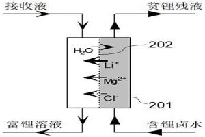 从含锂卤水中自发选择性分离镁富集锂的方法及其装置