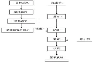 利用微生物提取红土矿中金属镍的方法