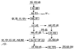 从钨冶炼除钼渣中回收钼和铜的方法