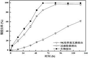 一株氧化亚铁硫杆菌及其应用