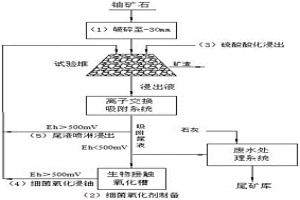 碳硅泥岩型铀矿石细菌浸铀方法