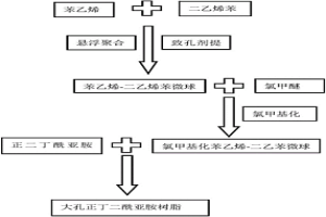 大孔正二丁酰亚胺吸附树脂及其制备方法