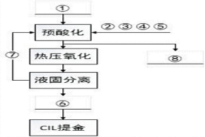 高碳难处理金矿的处理工艺