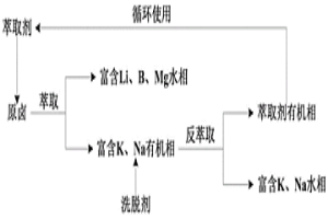 卤水中钾和锂的预富集萃取体系及预富集方法