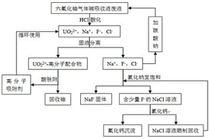 六氟化铀碱吸收液废液中铀与氟的回收方法