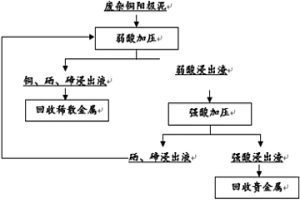 从废杂阳极铜泥中浸出硒和碲的方法以及提取硒和碲的方法