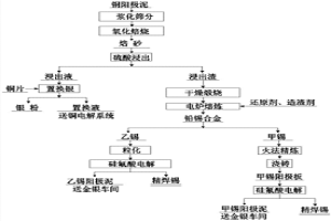 回收废杂铜阳极泥中有价金属的方法