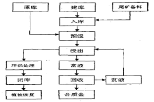 含金尾矿库浸工艺