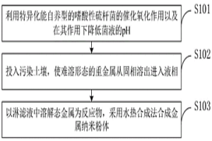 生物淋滤与水热合成回收电镀污泥重金属的方法