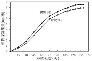 低品位镍矿的植物采镍方法