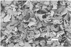 核壳结构的镍包铜微米片、其制备方法及其应用