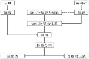 利用云母促进黄铜矿微生物浸出的方法