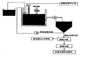 氧化亚铁硫杆菌及其去除污泥重金属的方法