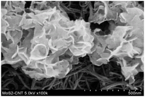 MoS<Sub>2</Sub>/CNT复合膜的制备方法和应用
