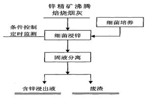 用细菌浸出锌精矿沸腾焙烧烟灰中锌的方法