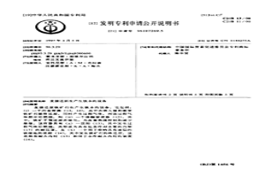 直接还原生产生铁水的设备