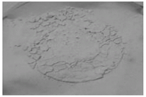 提高含磷钢渣中P<Sub>2</Sub>O<Sub>5</Sub>枸溶率的方法